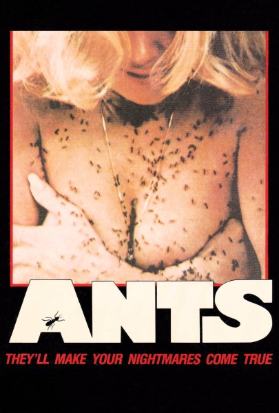 Ants!