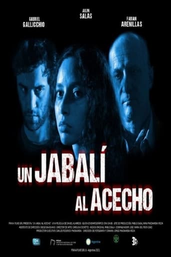 Un jabalí al acecho